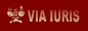 Via Iuris logo