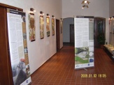 v�stava v Milevsku (leden 2009)