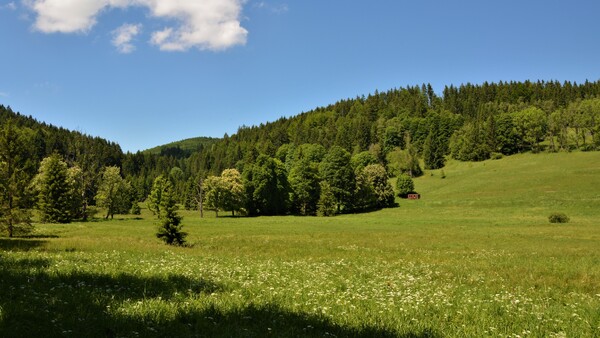 Novohradské hory Stříbrné hutě Novohradské hory Stříbrné hutě