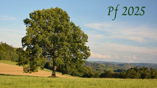 PF 2025 PF 2025