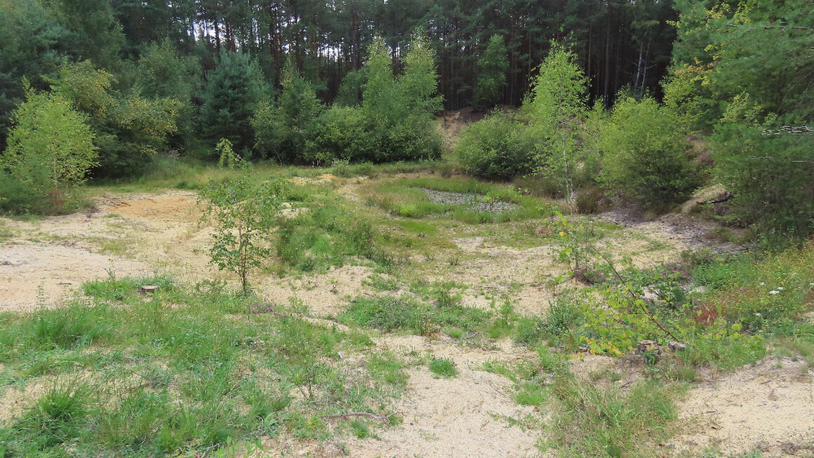 Pískovma u Žemličky Pískovma u Žemličky